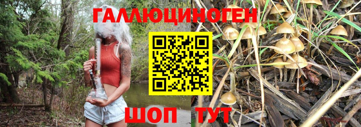 Псилоцибиновые грибы Psilocybine cubensis  Вход с VPN  Псилоцибиновые грибы MAGIC MUSHROOMS  Лангепас 